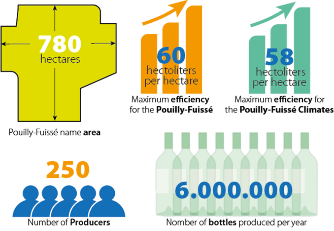 The Pouilly-Fuissé appellation in a few figures