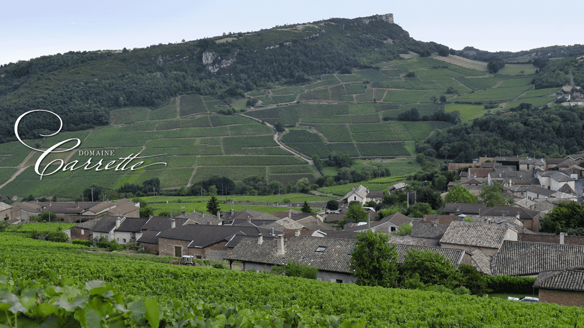 Contacter le Domaine Carrette