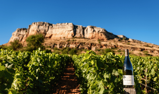 Domaine Carrette Bourgogne Pouilly Fuisse