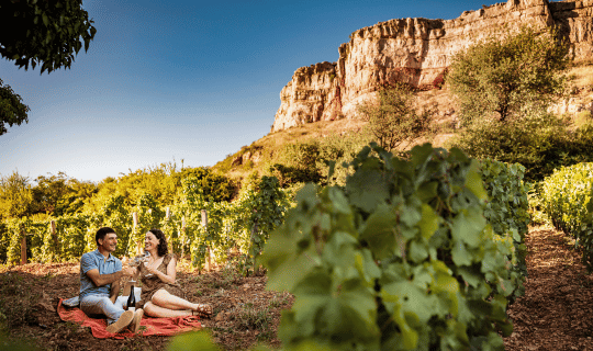 Domaine Carrette Pouilly Fuisse Bourgogne