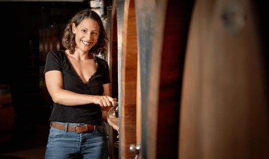 Degustation de vins Roche Vergisson