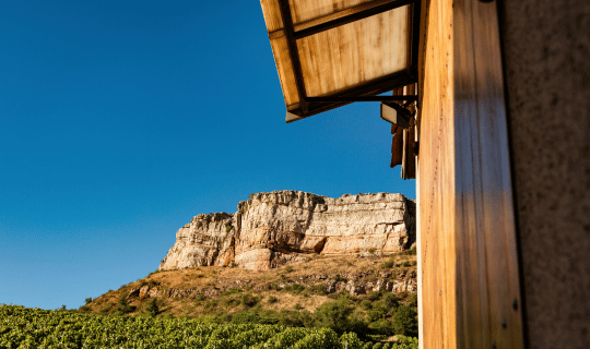 Vergisson Domaine Carette Vigne