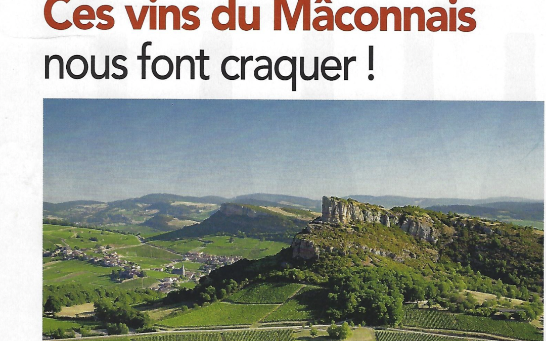 Ces vins du Mâconnais nous font craquer !